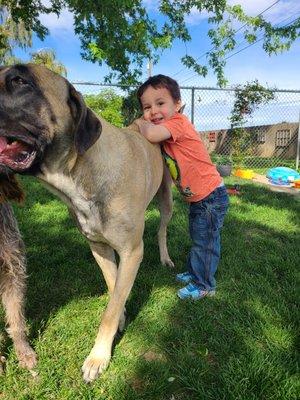 Enjoying our pets outside.