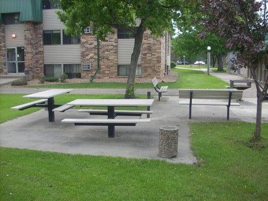 Charcoal Grill - Picnic table area