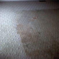 Discount Steamer Carpet & Upholstery Cleaning