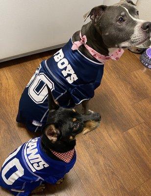 Pups had a great time at K9 cafe. They even got New Jersey's, thanks to K9 cafe.