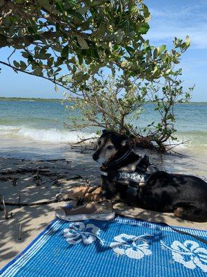 Day at the beach.