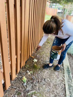 Powerwash, Staining, Painting