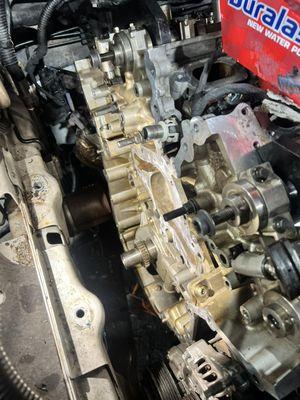 Timing chain install