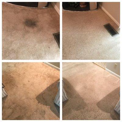 The Lake Carpet Cleaning