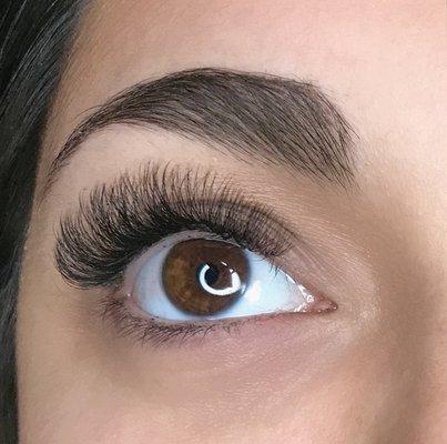 Volume Lashes