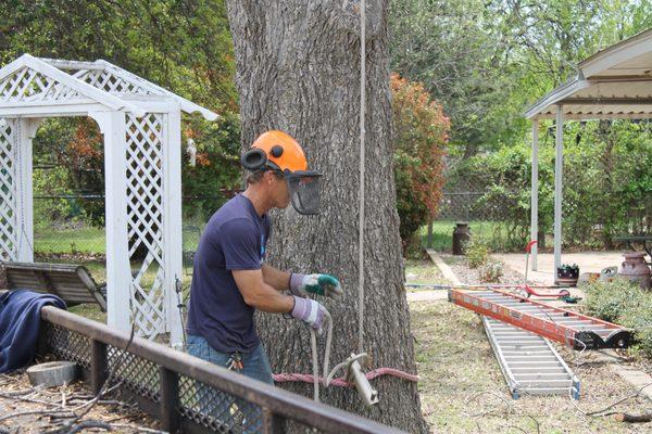 Aaron's Tree Service