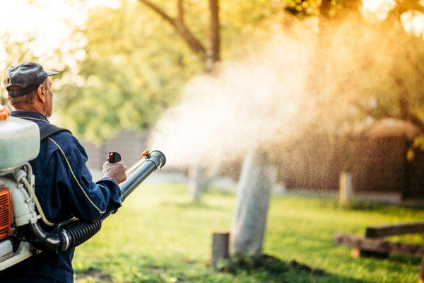 Spraying a mist of organic essential oils, to safely kill and repel mosquitos and ticks