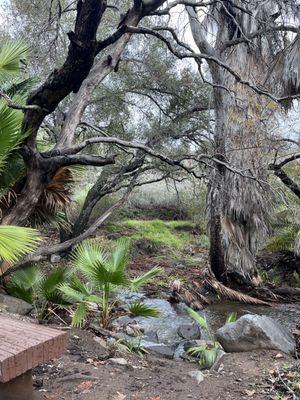 Coast To Crest Trail