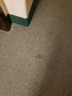 Pee stains on floor ..urine smell