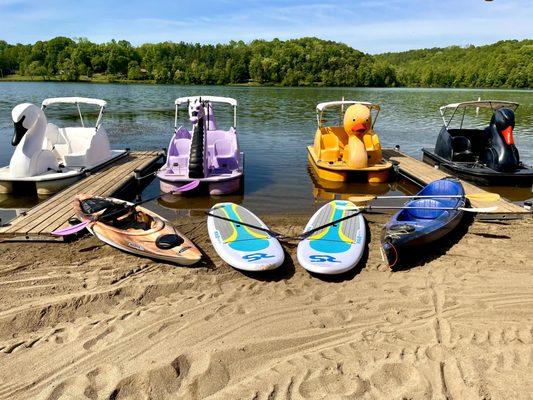 Kayaks, pedal boats and paddle boards for rent at Lake Logan beach.