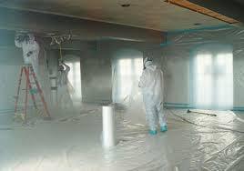 Everest Asbestos removal company