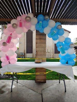 Gender reveal balloon arch