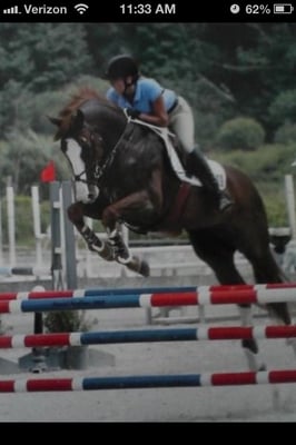 My other passion. Horses