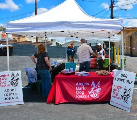 Weho Adoption event