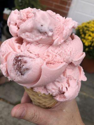 strawberry waffle cone double scoop!