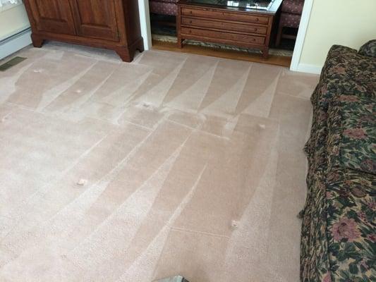 Carpet cleaning and scotchgard application