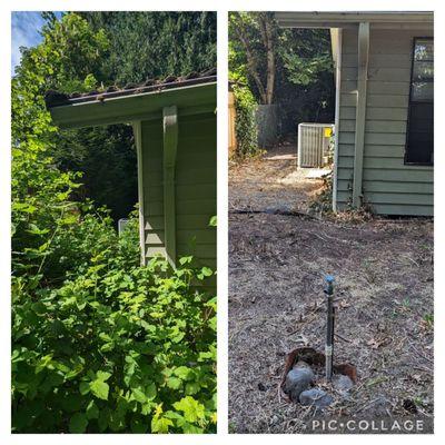 Side yard #2, before and after