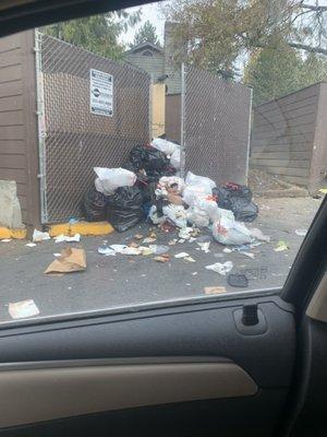 Every weekend the trash compactors look like this, hopefully you don't mind the smell if you have a apt next to it.