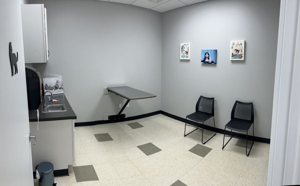 Cat exam room.