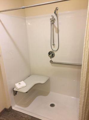 Accessible Shower