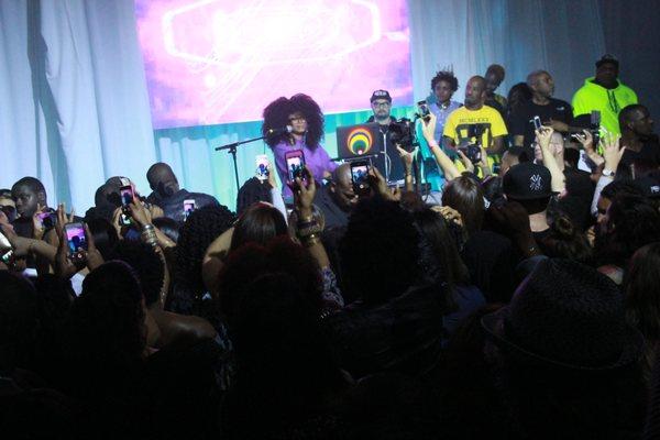 Concert with Erykah Badu