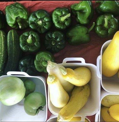 Even more produce from 4P Farms!