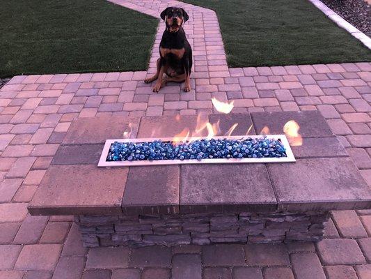 Just a little Friday fire pit moment with mans best friend.