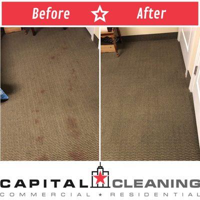 Before & After Carpet