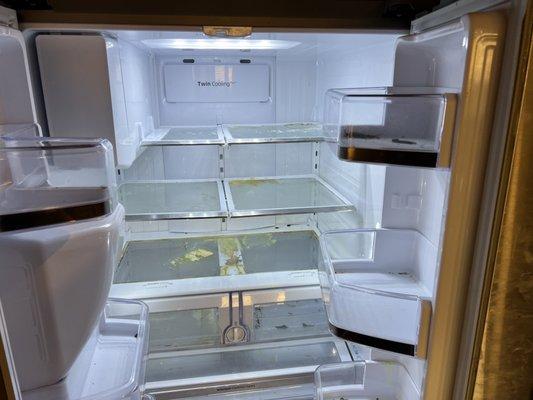 Fridge before cleaning.