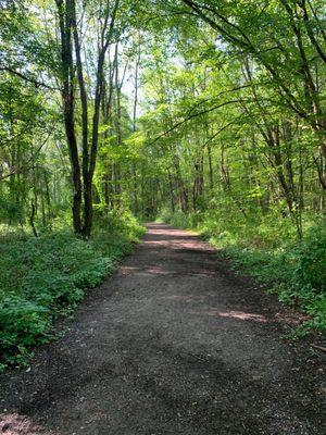 Lillian Anderson Arboretum