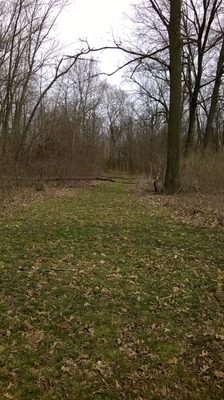 western entrance trail starts off grass covered