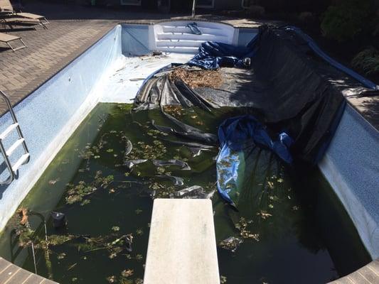 This was the damage to the pool due to the storm