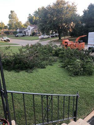 Asplundh truck #1 cutting limbs in neighbors back yard & leaving them in my yard.