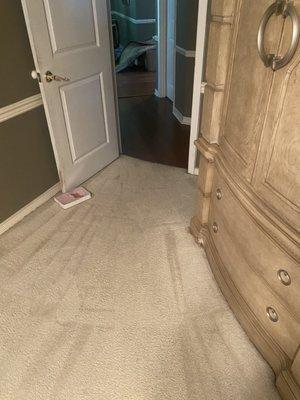 Spots removed by On the Spot carpet cleaning