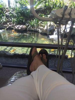 Forgot to mention the Vacation-Esque view from the dental chair of an expansive Koi pond.