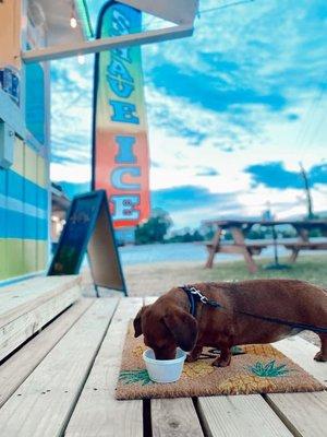 One of our friends enjoying a Pup Cup