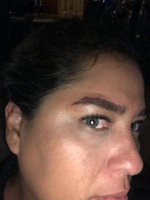 This is my left eyebrow after 1 day of getting micro blading. Notice how different the arch is in this eyebrow Vs the right side eyebrow.