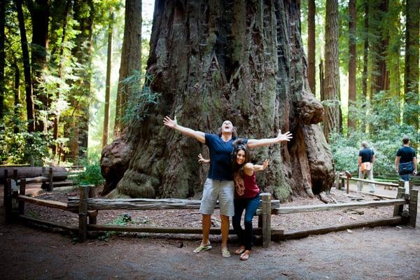 Henry Cowell Redwoods State Park