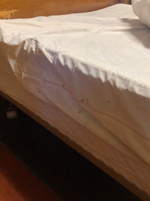 Blood stains on side of bed cover