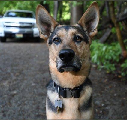 Goose, the campground mascot