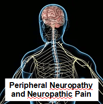 Treatment for Peripheral Neuropathy and Neuropathic Pain