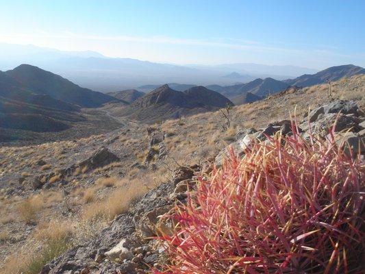 Alone in the Nevada Desert