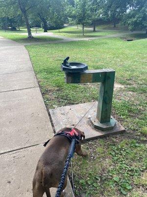 Only water fountain