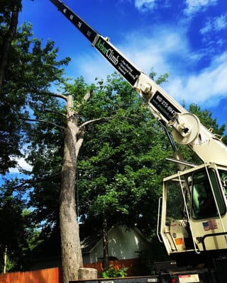 Crane tree removal in Keene NH