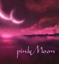 Pink Moon Web Designs / Simply Web Worx