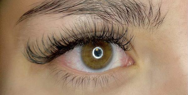 Light Volume "Cat Eye" Lash Extensions