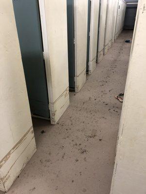 Flooded beach club lockers