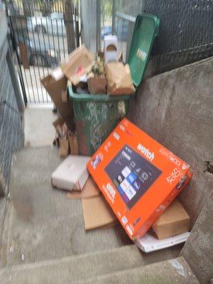 Recycling bin was stolen and now tenants use the yard waste bin, garbage bin for recycling. It's been like this my entire lease