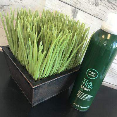 Tea tree shave gel