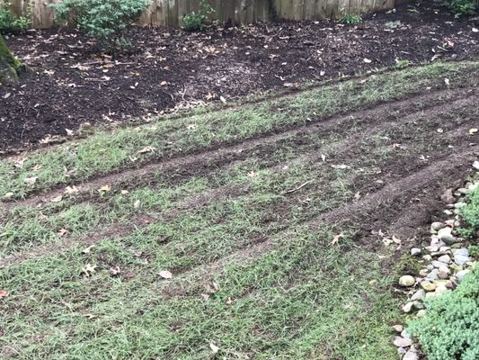 Lawn Doctor of Parsippany Montville did this to our lawn when it was too wet and then told us to wait for it to grow in!